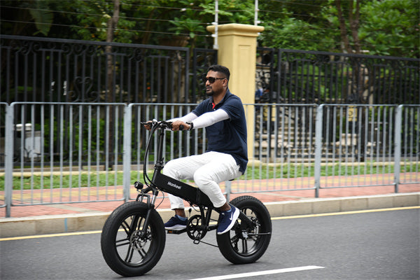 Electric Bike