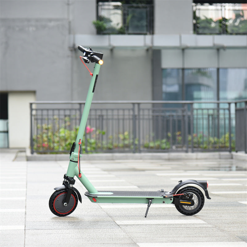 邦楽 may.e - Mattiola MJ24-MV-Premium/BEB #18440 | Deviser ｜株式会社ディバイザー